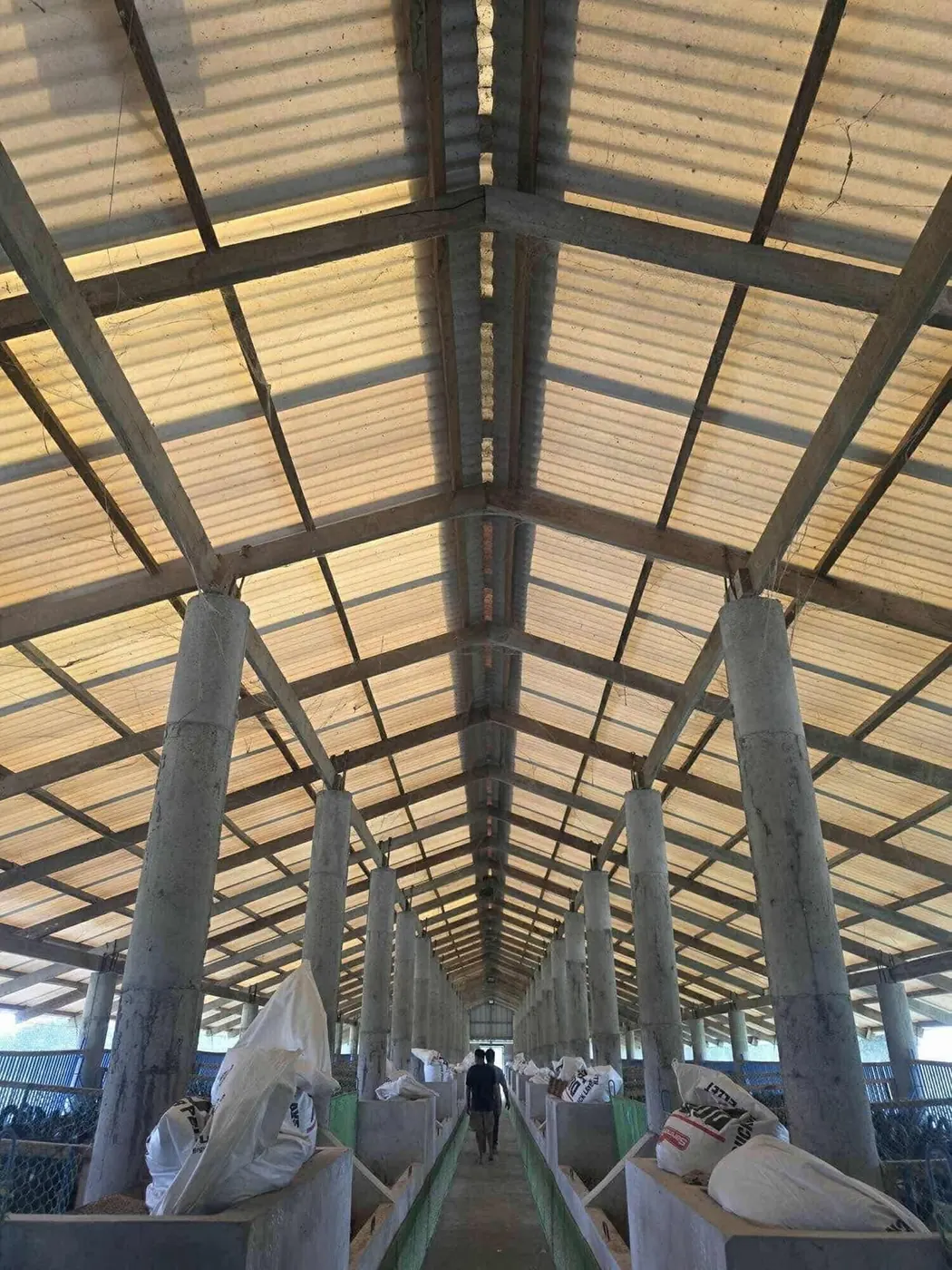 UPVC thermoplastic roofing sheets